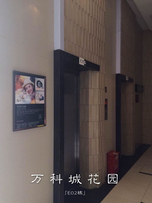 廣州樓宇電梯廣告公司專業(yè)服務(wù)與市場(chǎng)分析